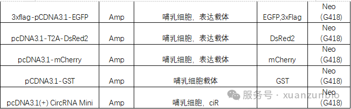 640 (3).png